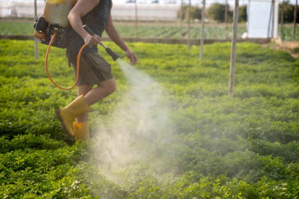 Best Residential Pest Control  in Imperial, MO