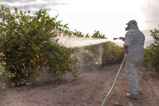Trusted Imperial, MO Pest Control Experts