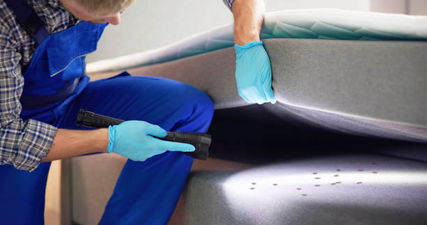 Best Pest Inspection Near Me  in Imperial, MO
