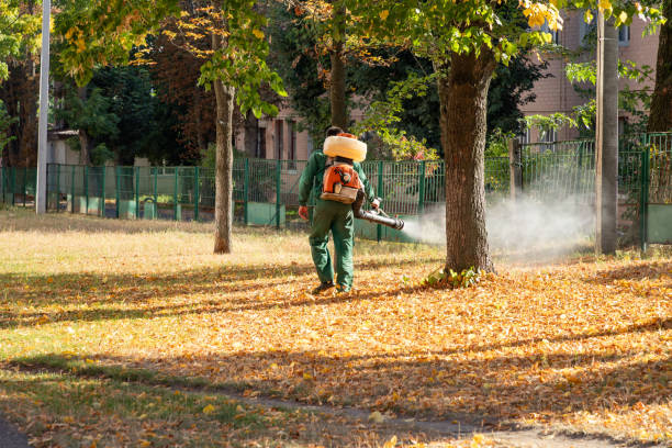Pest Control for Restaurants in Imperial, MO