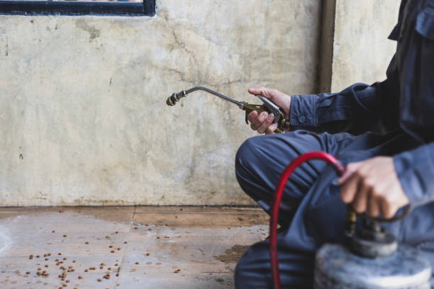 Best Termite Control Services  in Imperial, MO